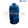 Вертикальный двигатель с полым валом (TEFC_IP54)